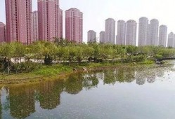 天津北辰区最新爆料