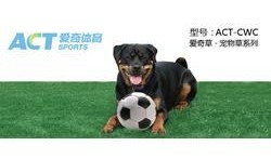 最新草系宠物爆料图,萌动春意，绿意盎然！