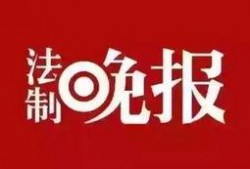 鲁美最新爆料新闻,揭秘娱乐圈惊人内幕