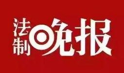 鲁美最新爆料新闻,揭秘娱乐圈惊人内幕
